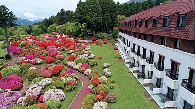 四季折々の景色が楽しめる庭園か らは富士山も望め、初夏には専任ス タッフが管理するツツジが群れ咲く