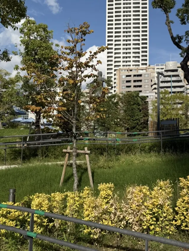 秋のお散歩日和にお気に入りのワンピースでお出かけ！_1_8