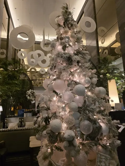 2025ソワレドゥエクラ_1_20