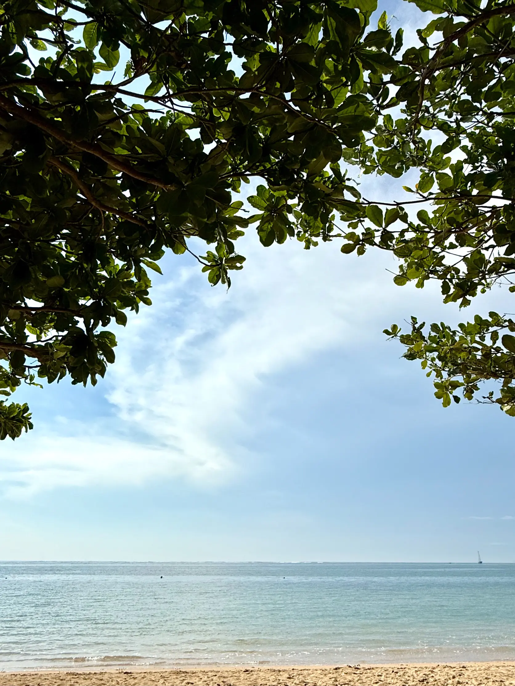 【50代夫婦旅行】 大人がのんびり楽しめるビーチと街があるバリ島サヌール地区_1_45