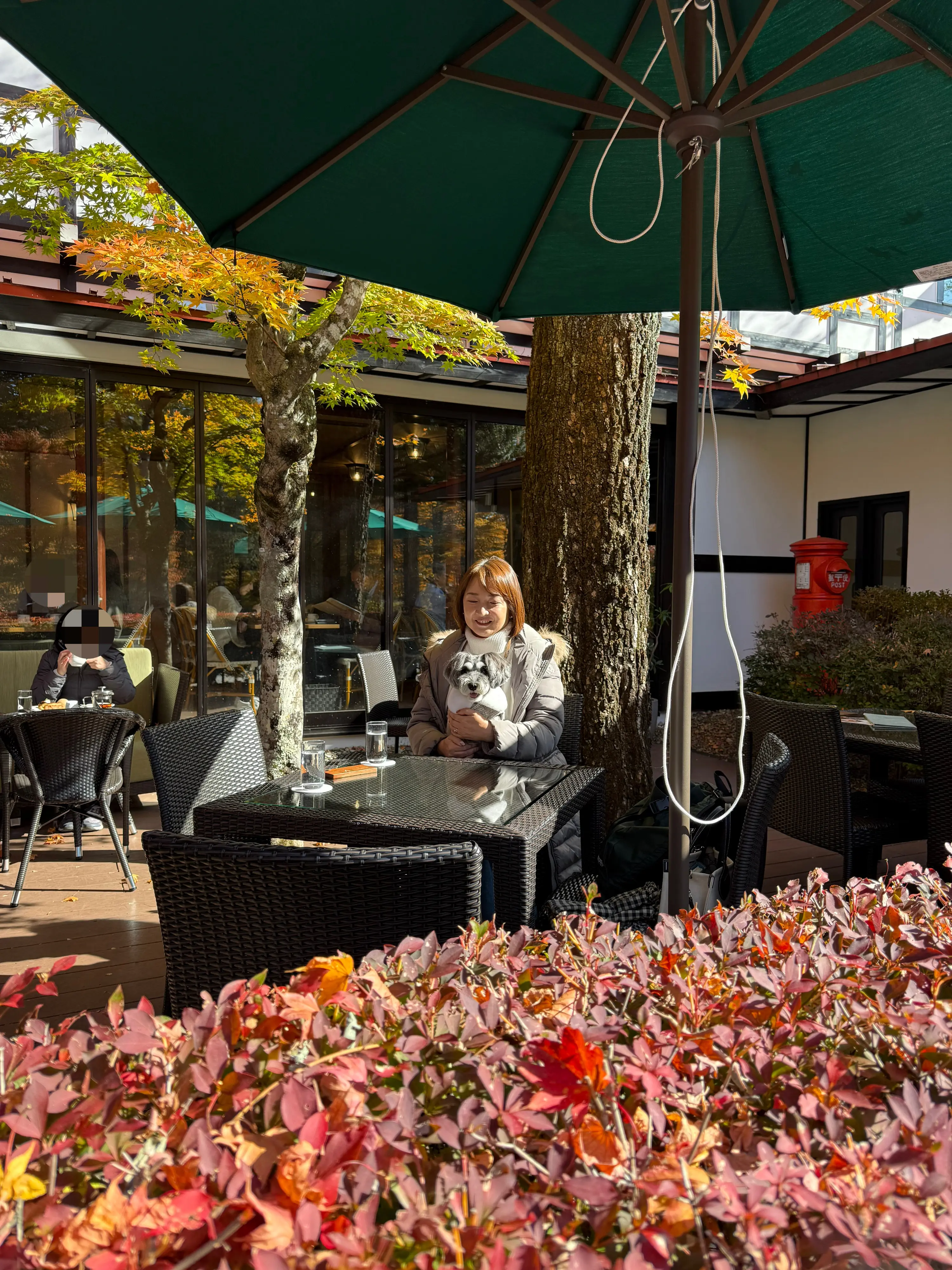 万平ホテル　カフェテラス　梅澤千佳子