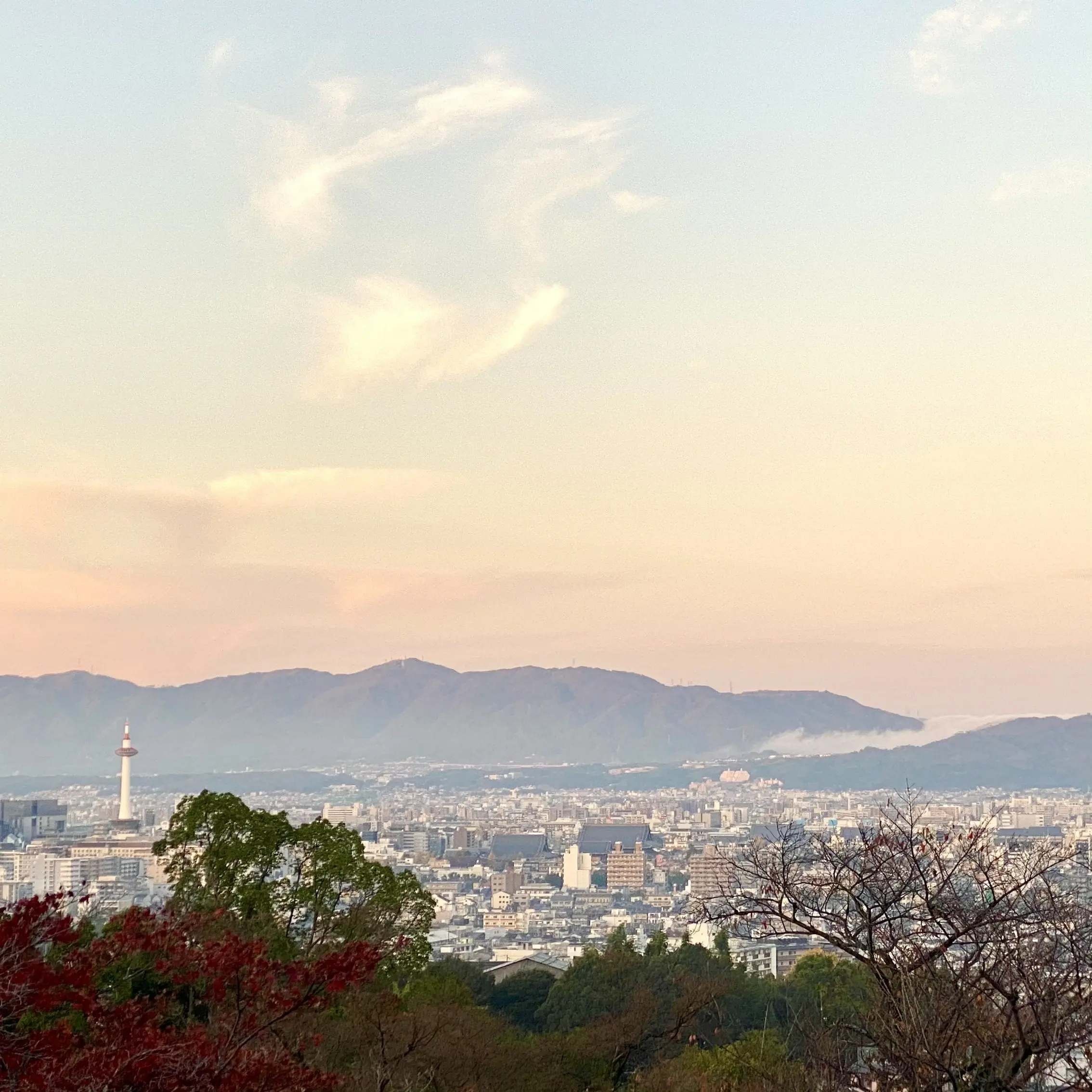 秋の景色を楽しむ♡京都の紅葉②_1_6