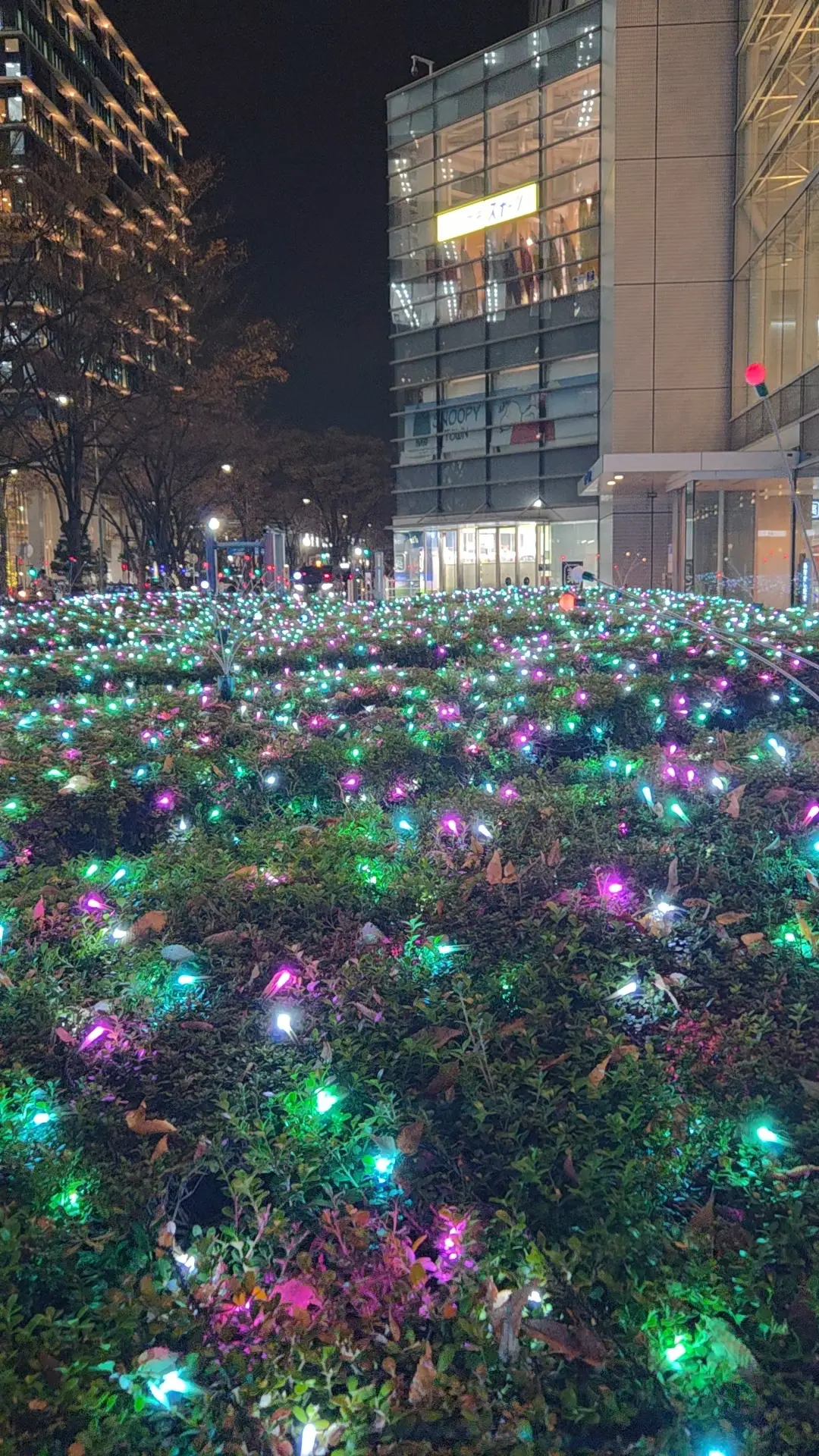 横浜で過ごす、光と味わいのひととき♡_1_12-2