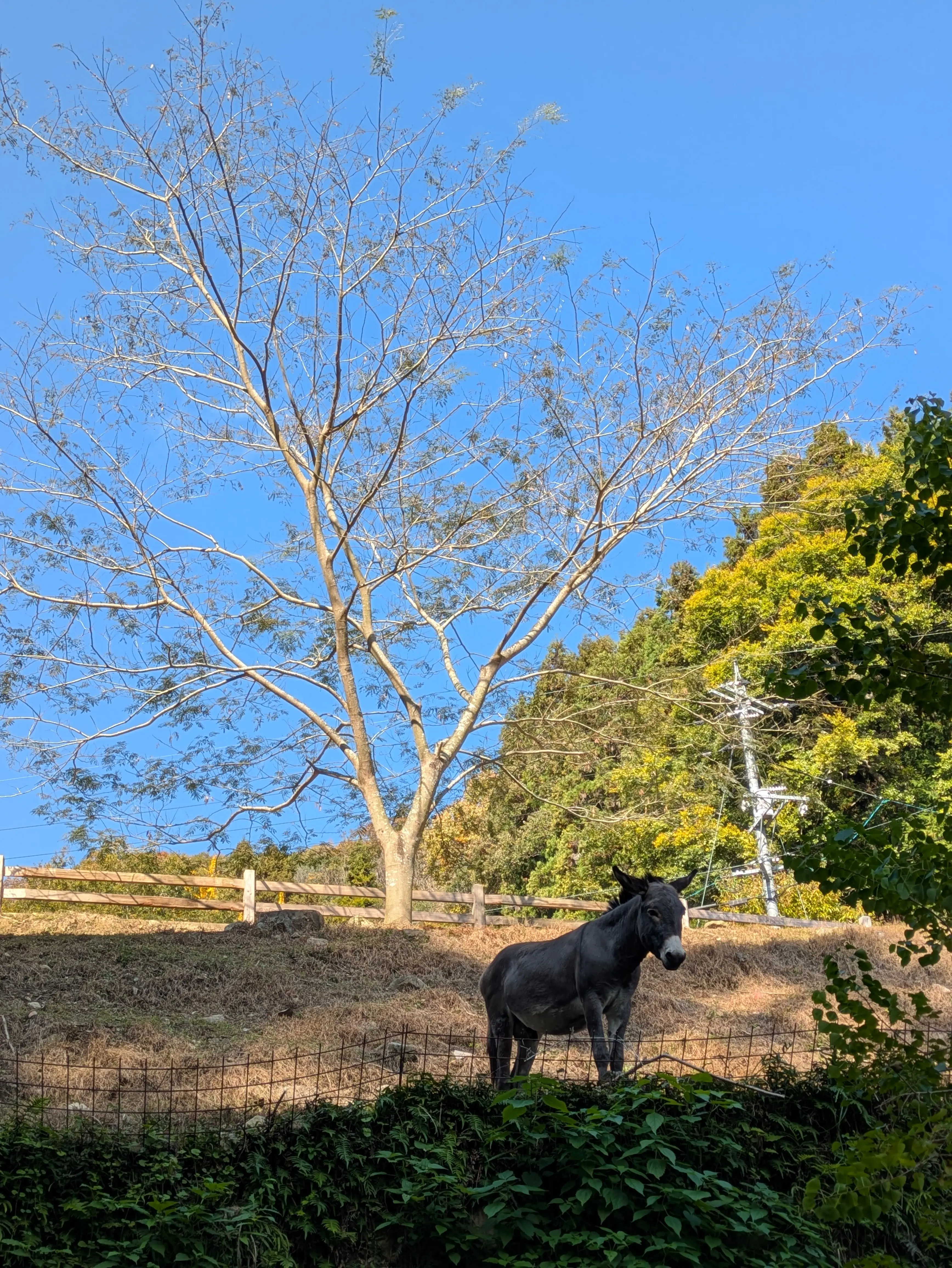 森の中の小さなパン屋さんでブランチデート♡_1_15