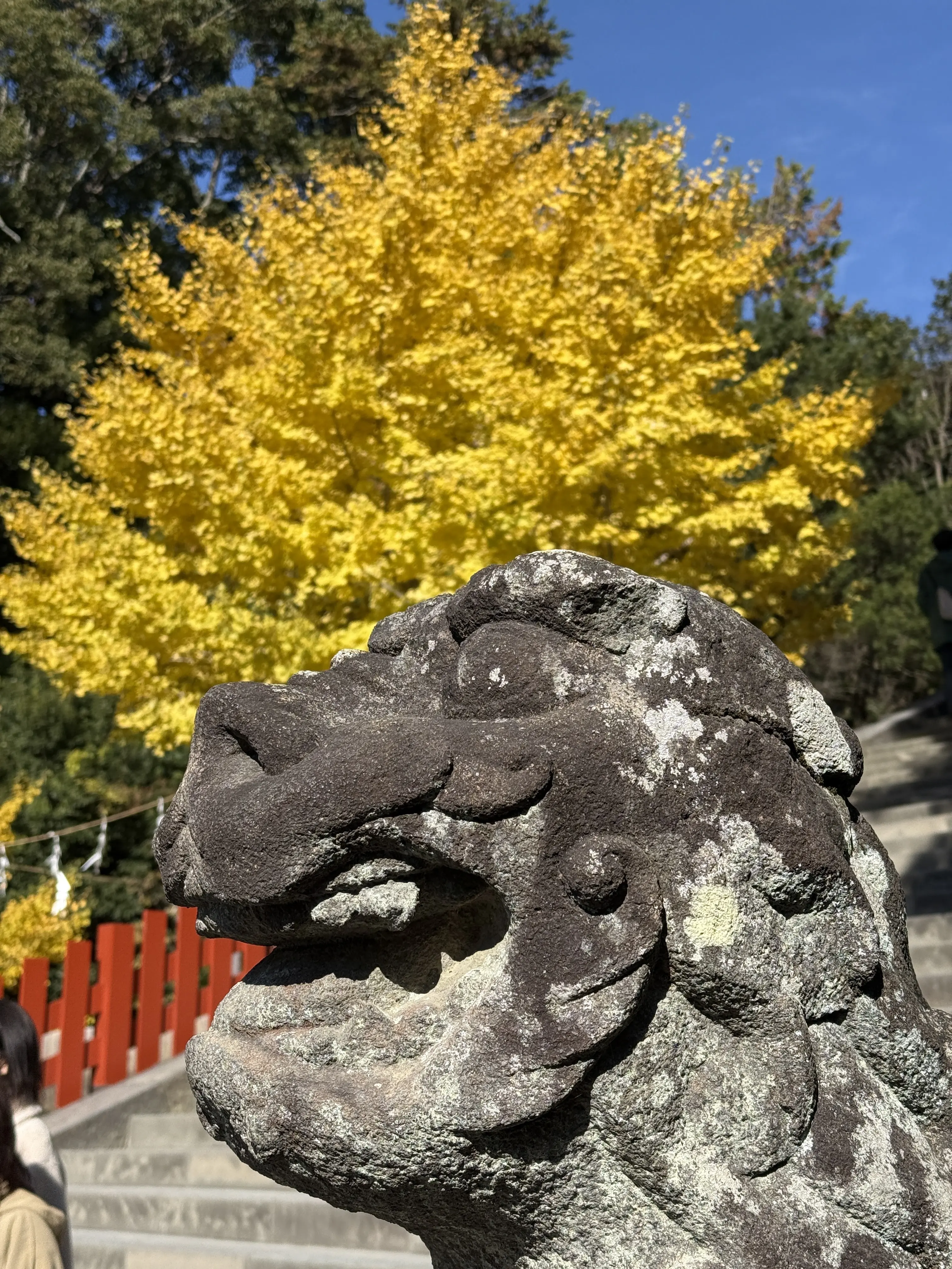 記憶辿り散歩からのグルメたち_1_10-3