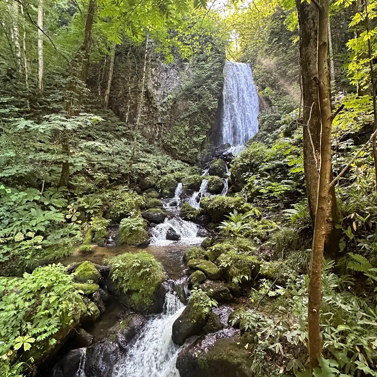 9月に安比高原へゴルフ旅行に行ってきました_1_13