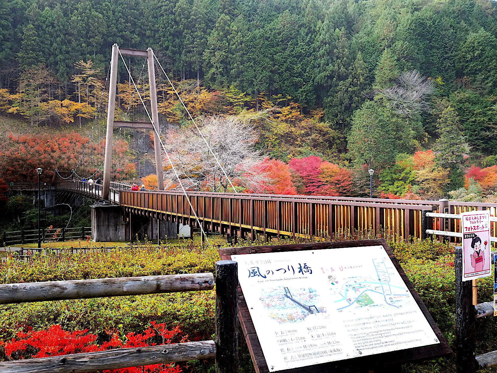 愛知県稲武/風のつり橋