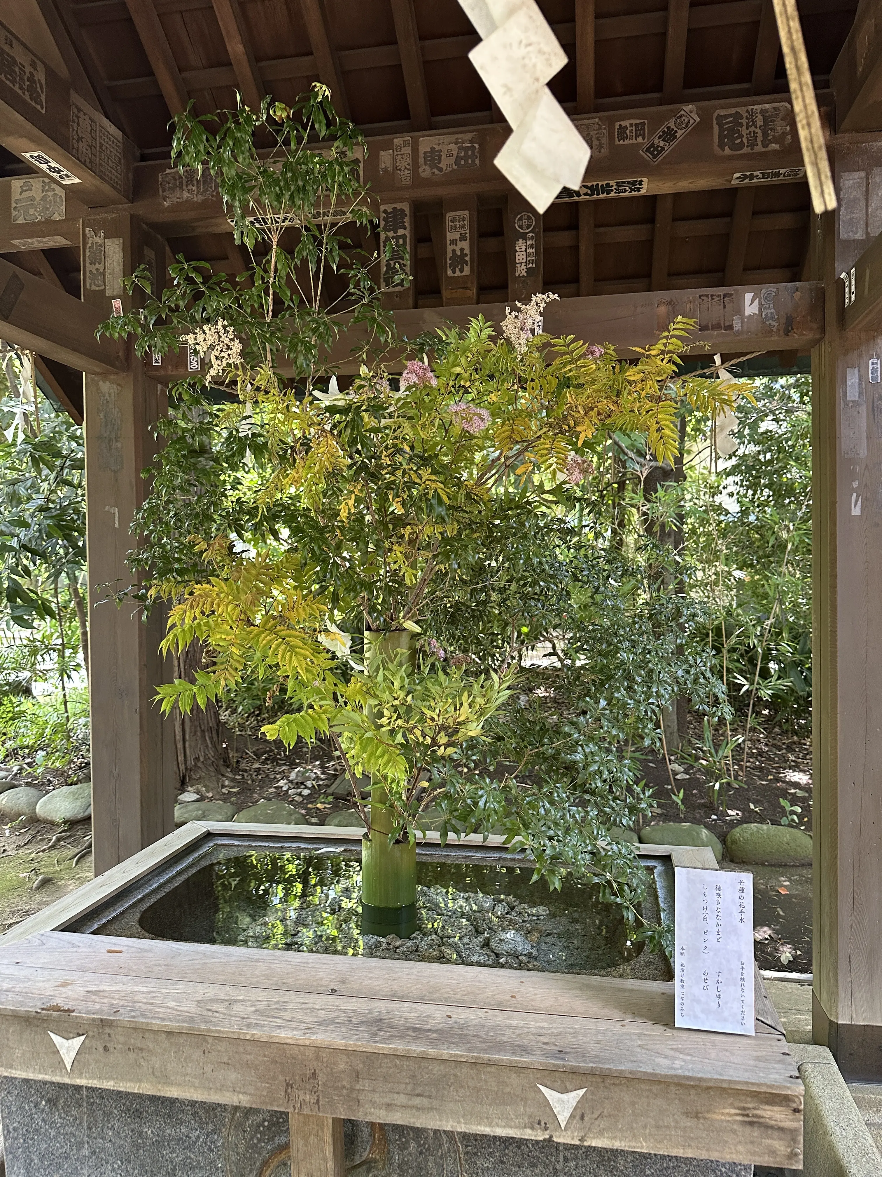 花手水