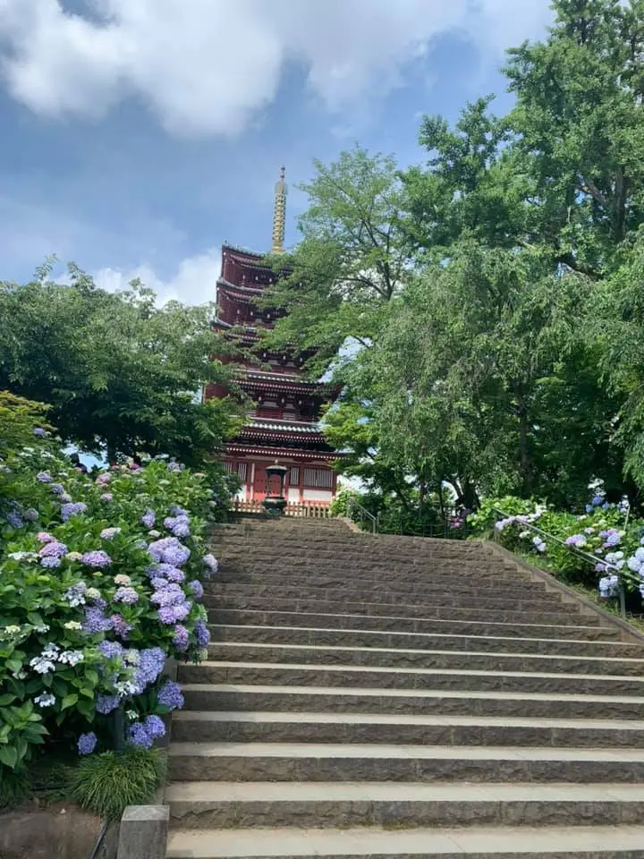 近所で小旅行気分になれる朝いちばんの紫陽花寺散歩_1_2