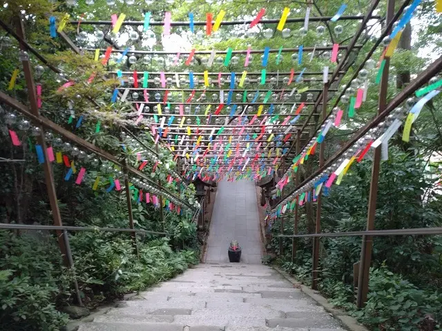 夏を振りカエル。福岡・かえる寺への旅_1_4