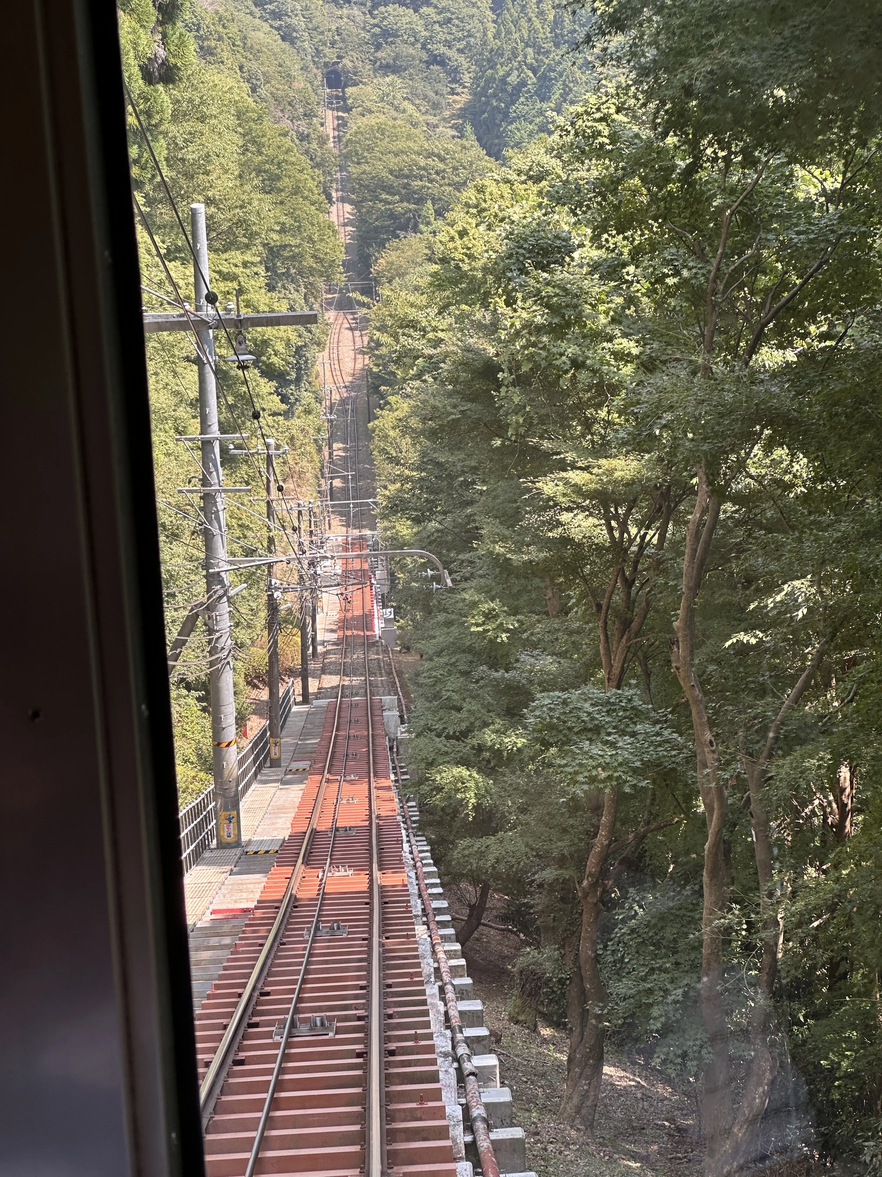 親子三代で行くはとバスツアーと真夏の高尾山登山🎵_1_22