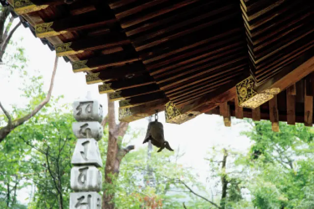 京都の仁和寺　金堂の3段の垂木や菊の紋入り飾り金具が建物の格を表現 
