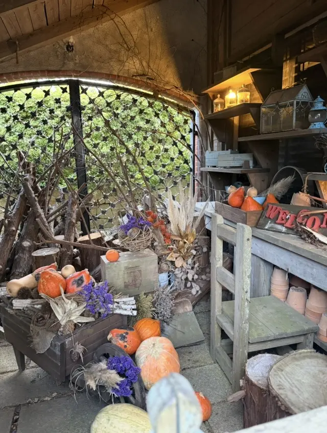 R13のブラックデニムで大人カジュアルコーデ。一足早くハロウィンフェアに！_1_6