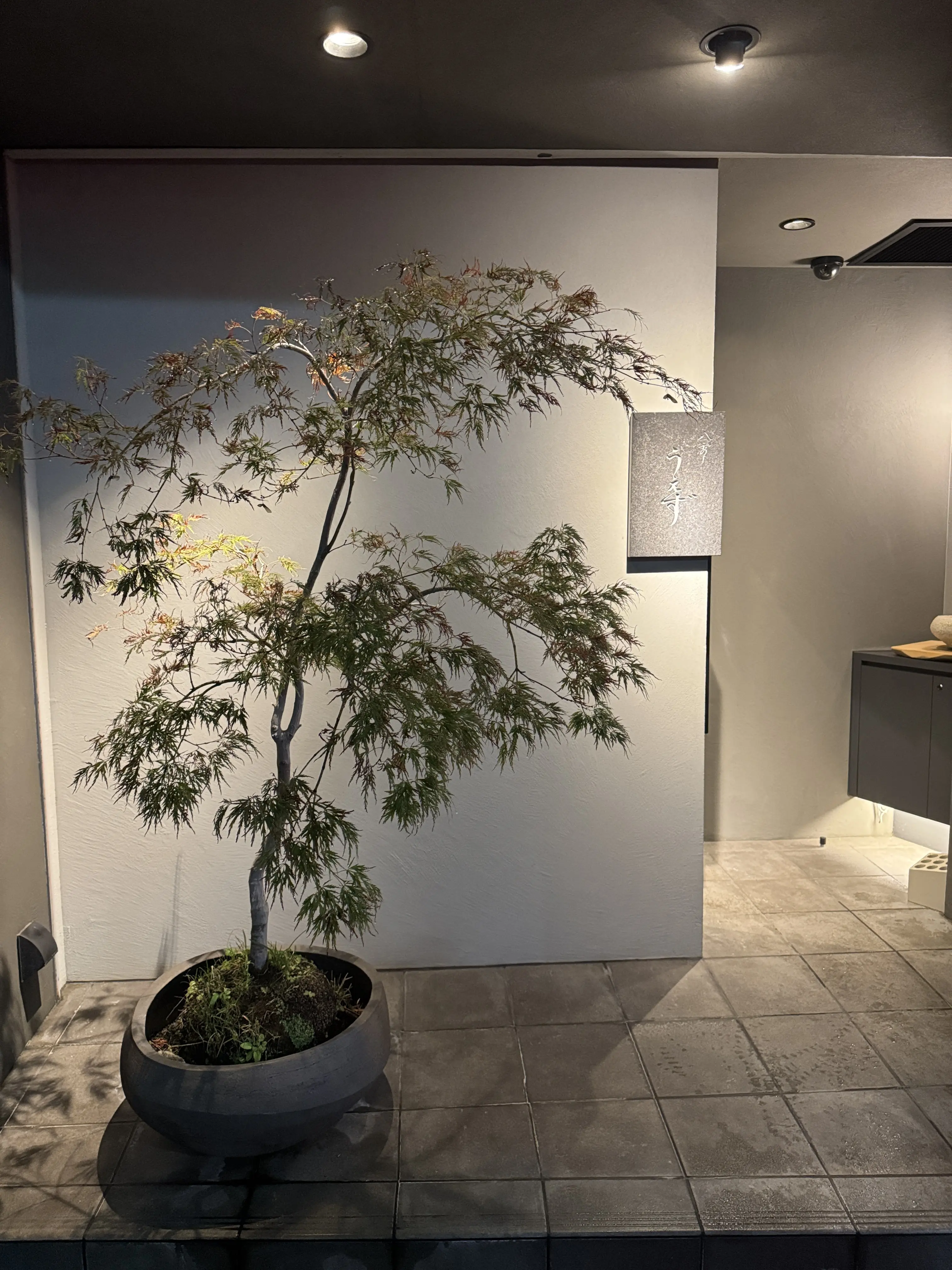 ZARAのロマンチックリブニットセーター♡大人可愛くて活躍中！！_1_2