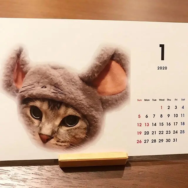 アランのカレンダーの1月はネズミのコスプレ