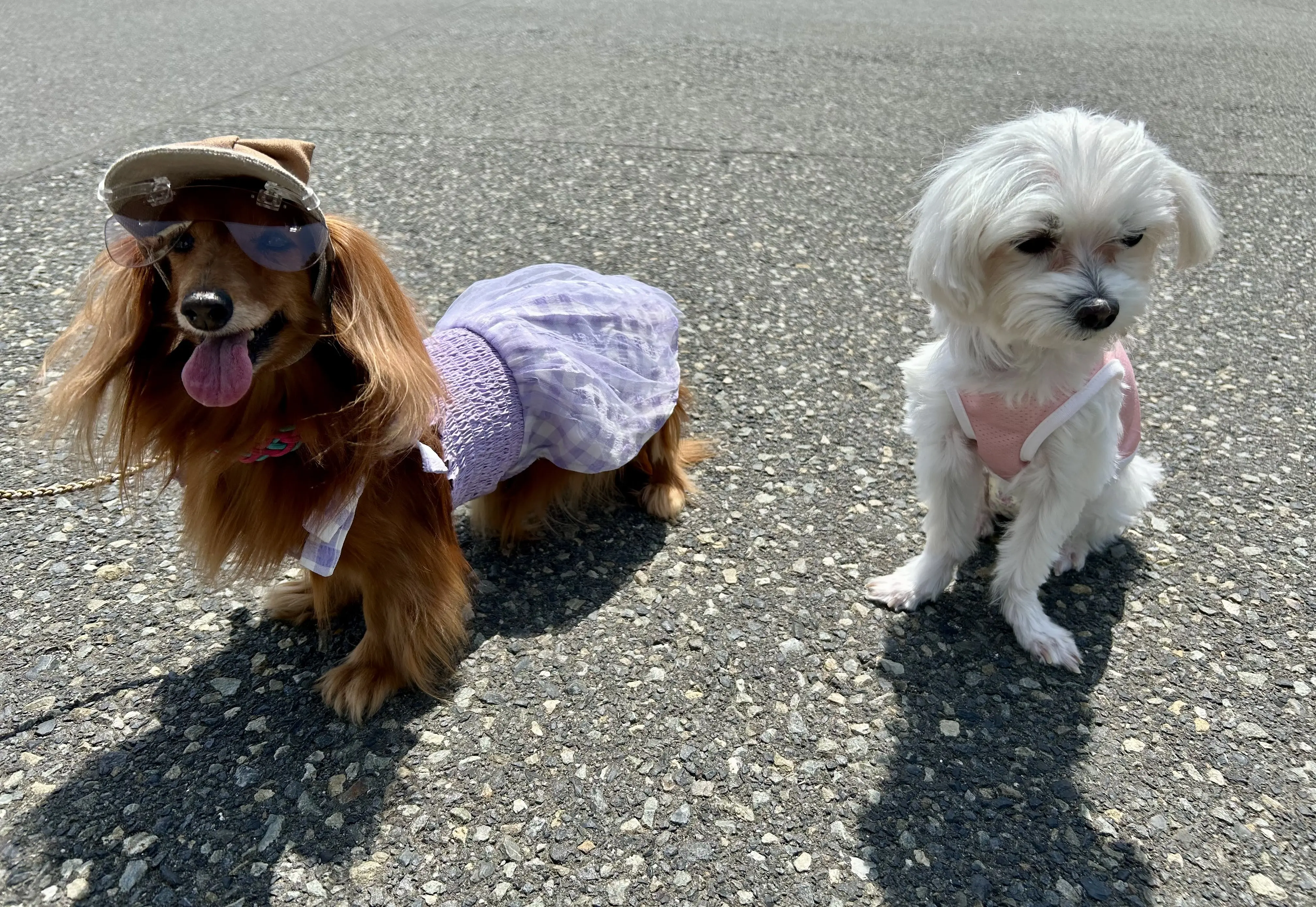 シアーシャツとワイドパンツで山下公園へ♪_1_6