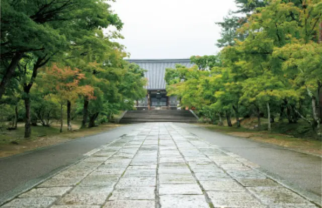 京都の皇室ゆかりの社寺　仁和寺の参道