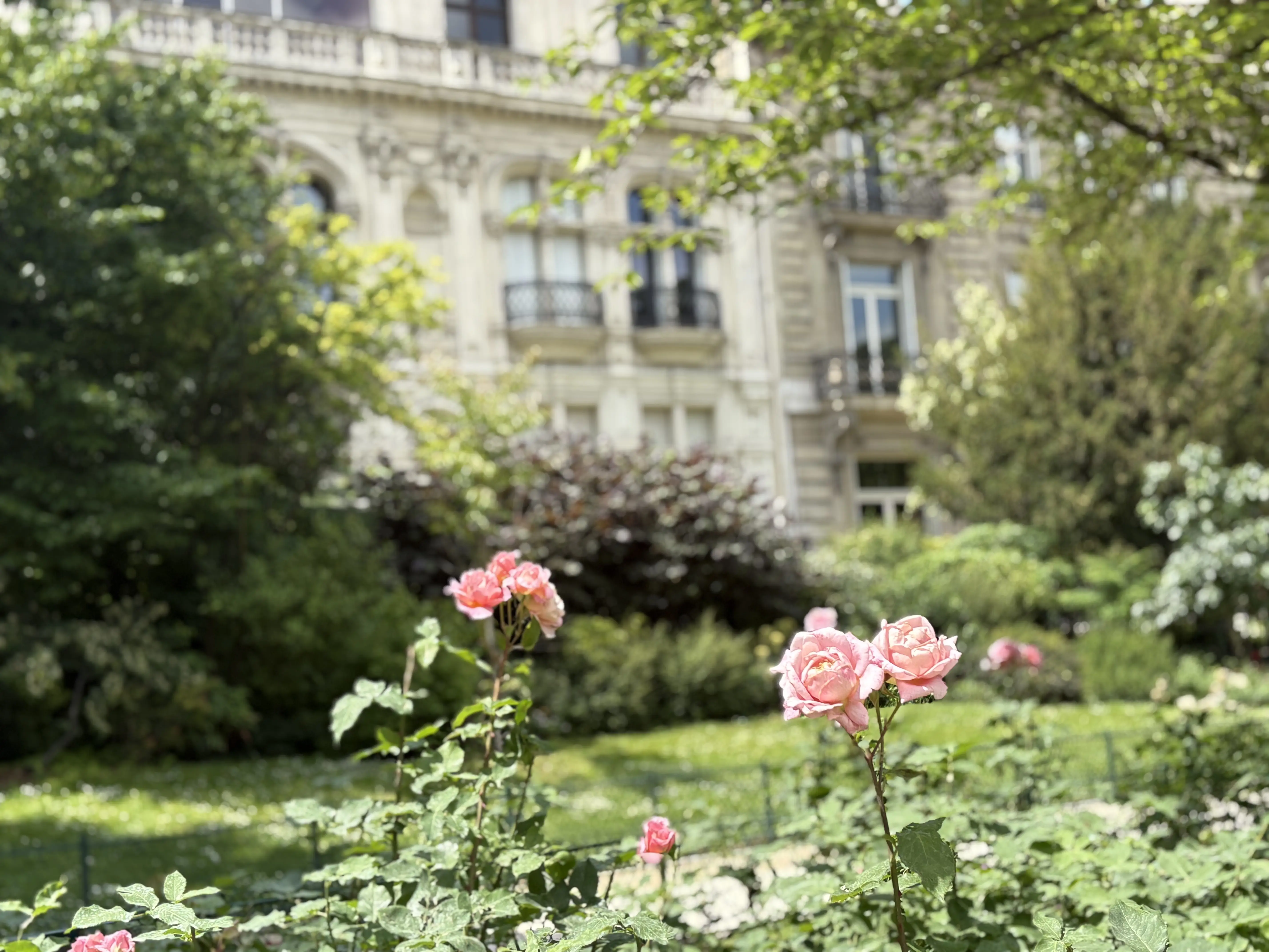 書くこと、それは話さないことである。それは黙ること。音のない叫び。ーEcrire, c&#039;est aussi ne pas parler. C&#039;est se taire. C&#039;est hurler sans bruit.【フランスの美しい言葉 vol.32】_1_3