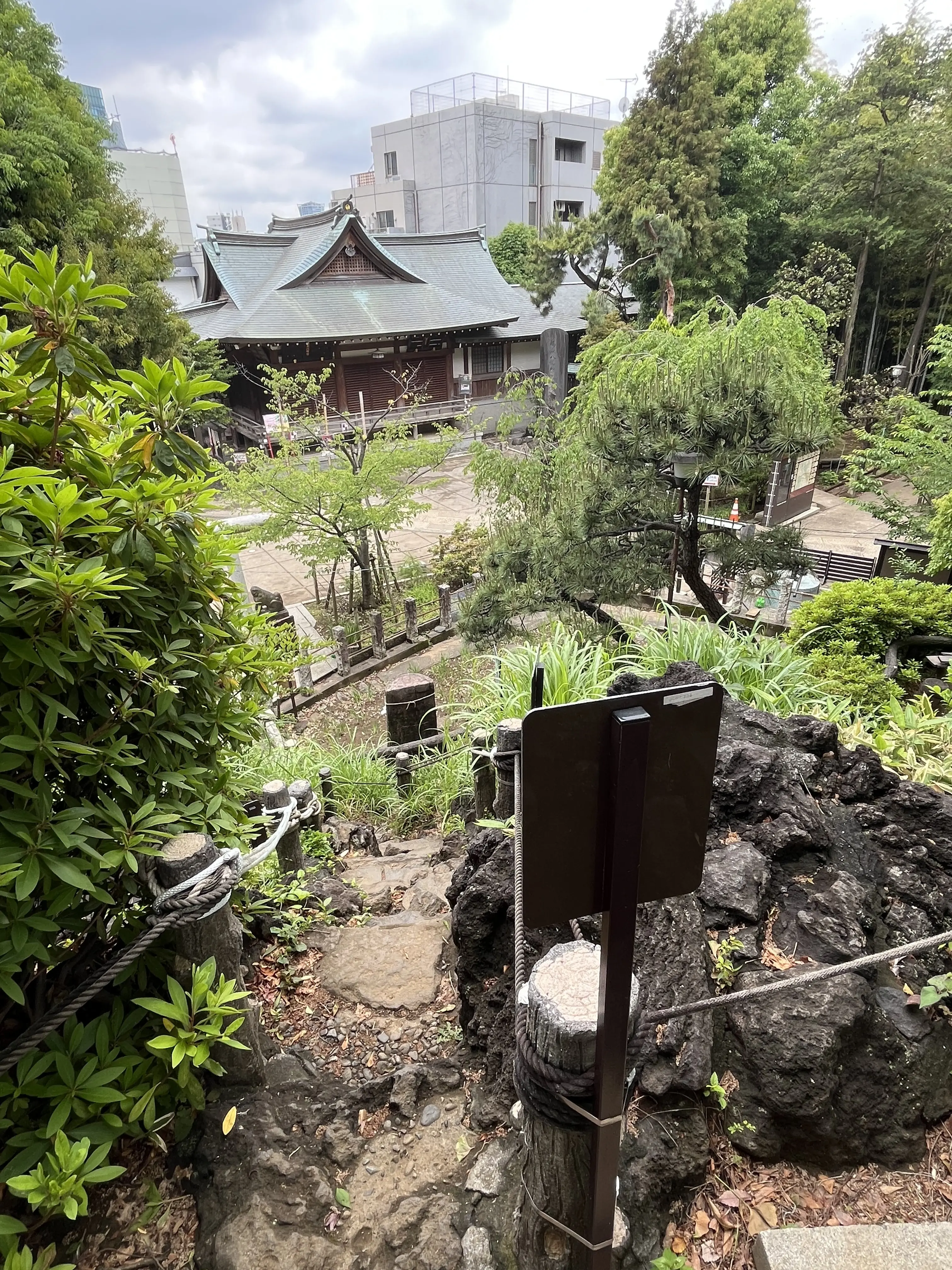 目白から千駄ヶ谷・新宿へ_1_19