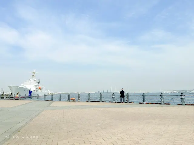 【さかぽんの冒険】わくわく春の空中遊泳❤️@横浜みなとみらい_1_26