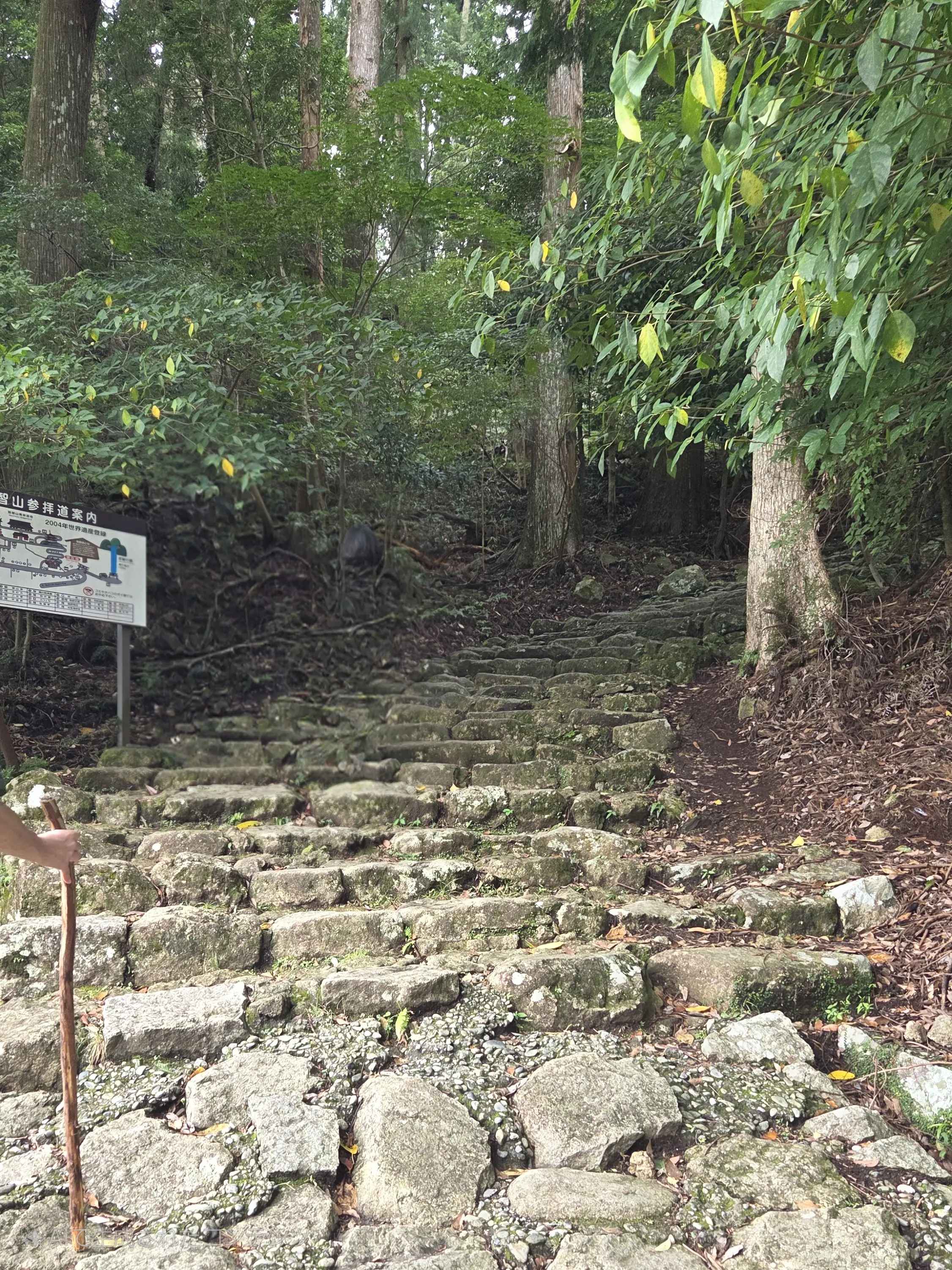 和歌山2泊3日　熊野古道にふれる世界遺産の旅①_1_2