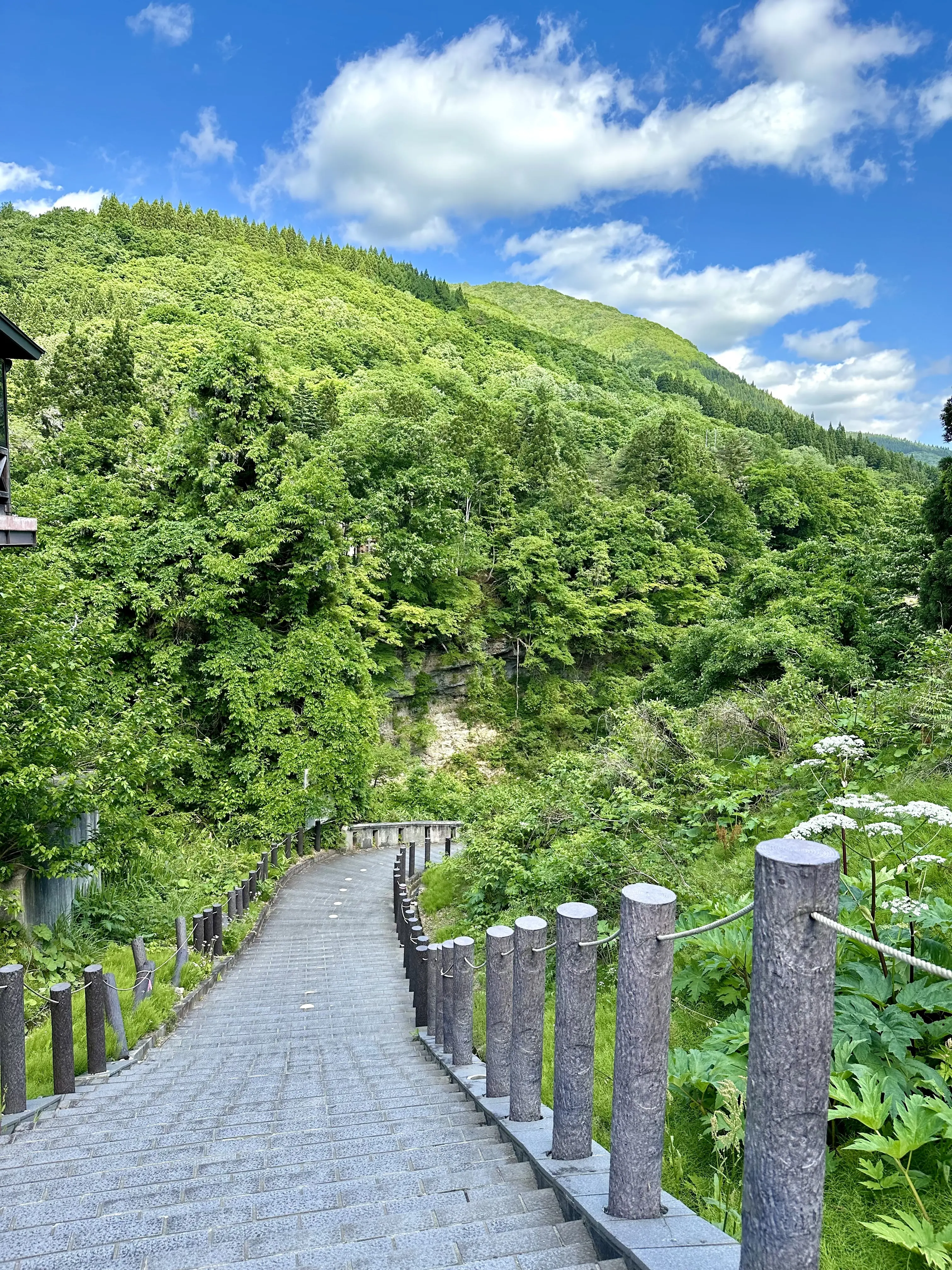 【秋田】雄大な自然と温泉を楽しむ旅ー秋田県小安峡温泉_1_21