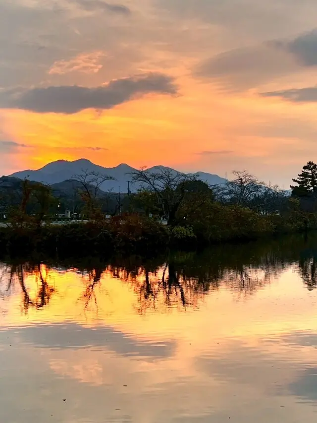 ゆったりした時間が流れる歴史とグルメの街丹波篠山で秋を楽しむ大人の遠足_1_19