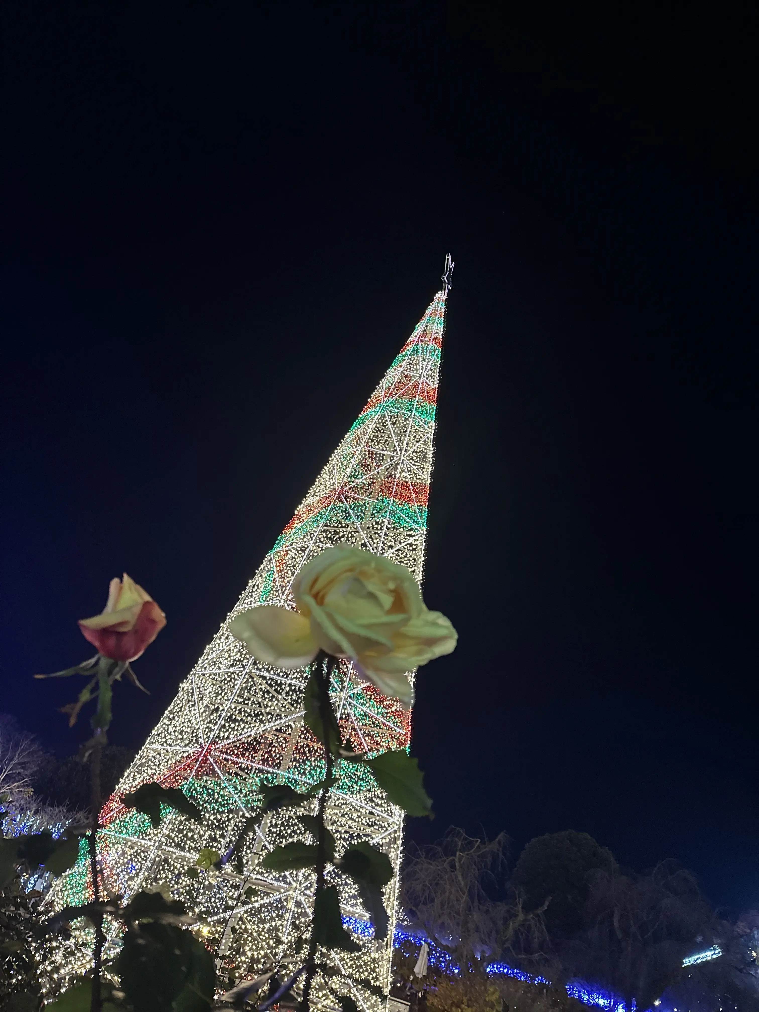 ため息が出るほど綺麗なあしかかフラワーパークへ_1_2