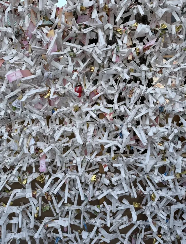 2026年の初詣は神田明神へ神馬あかりちゃんに会いに行きました！_1_8