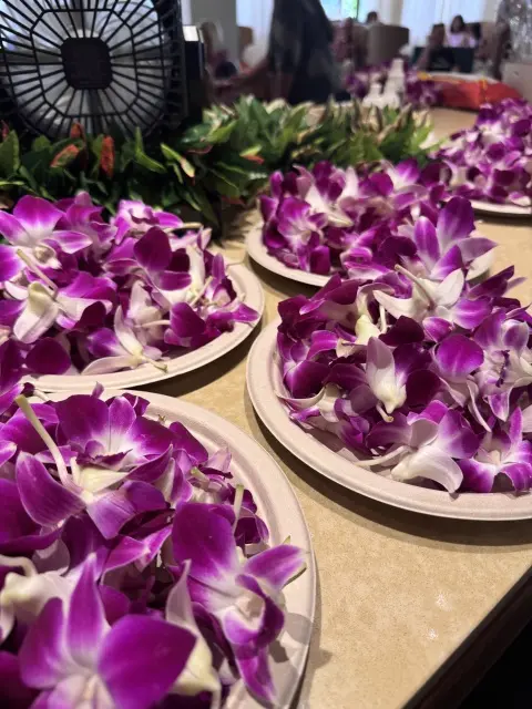【Hawaii】ハワイを満喫♡大人の過ごし方♪_1_20