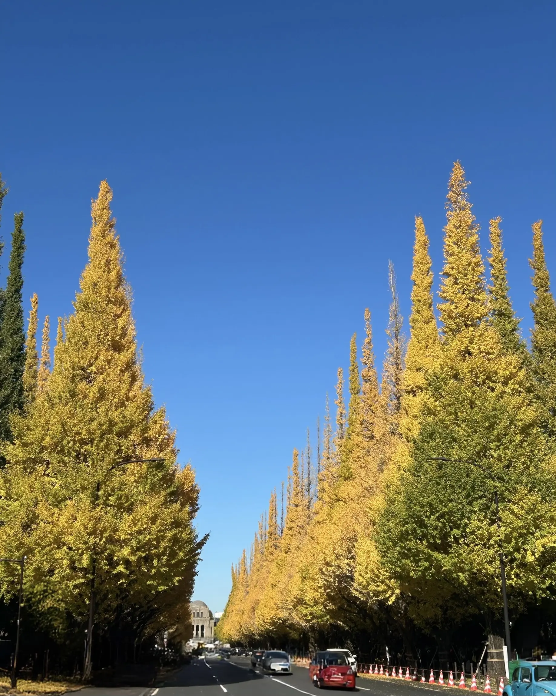 【UNIQLOデニムシャツ×スキニーパンツ】私のデイリーコーデ✨_1_7