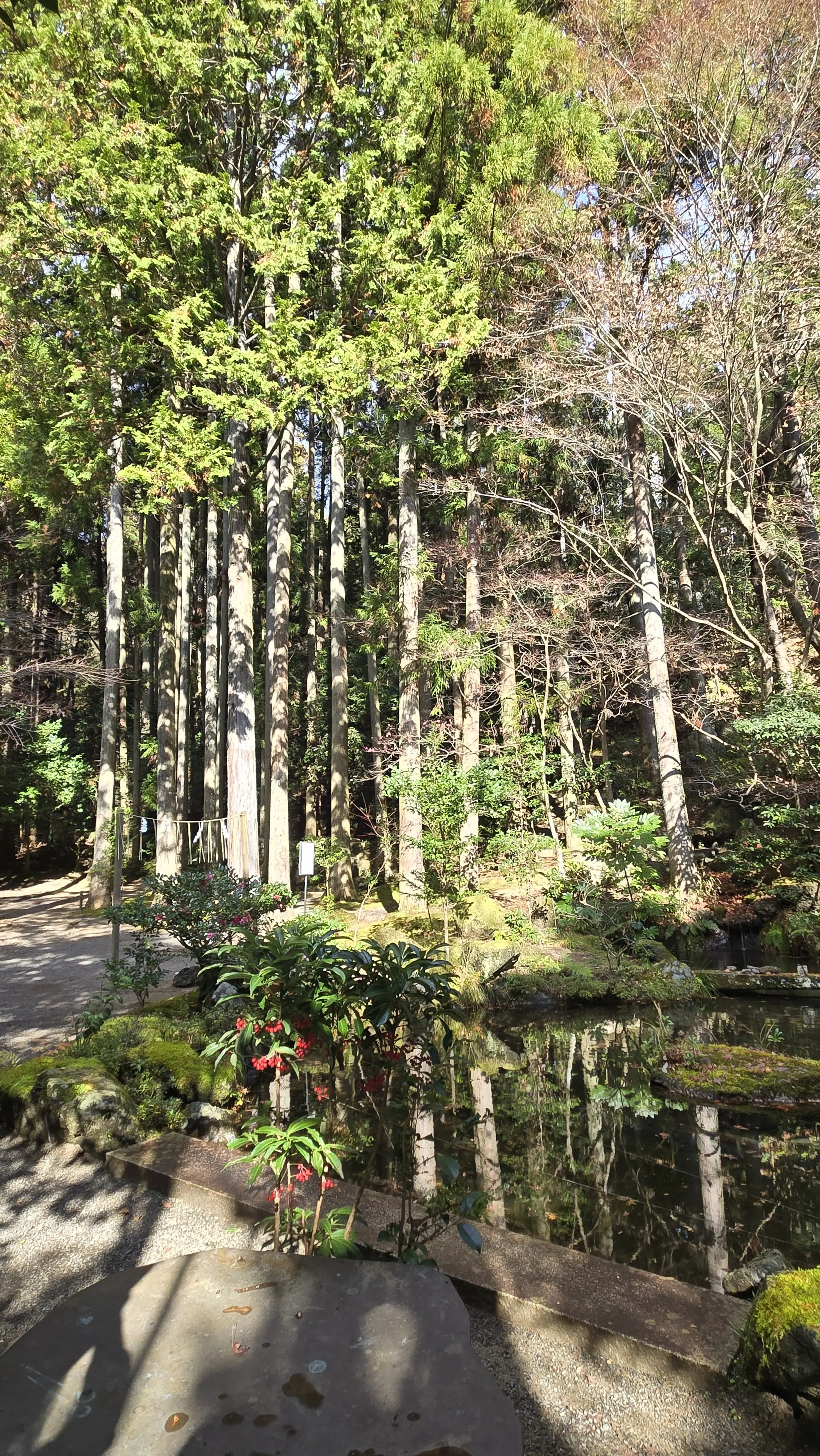 親友家族と京都旅②_1_6-3