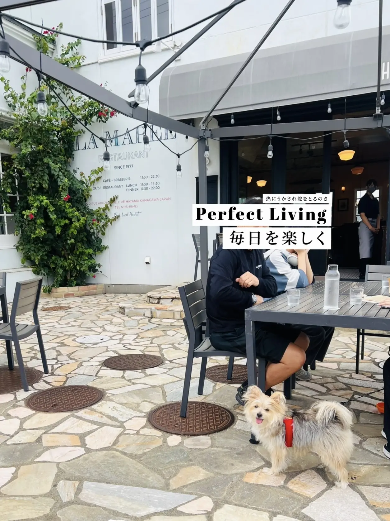 ゾーイちゃんも嬉しそう