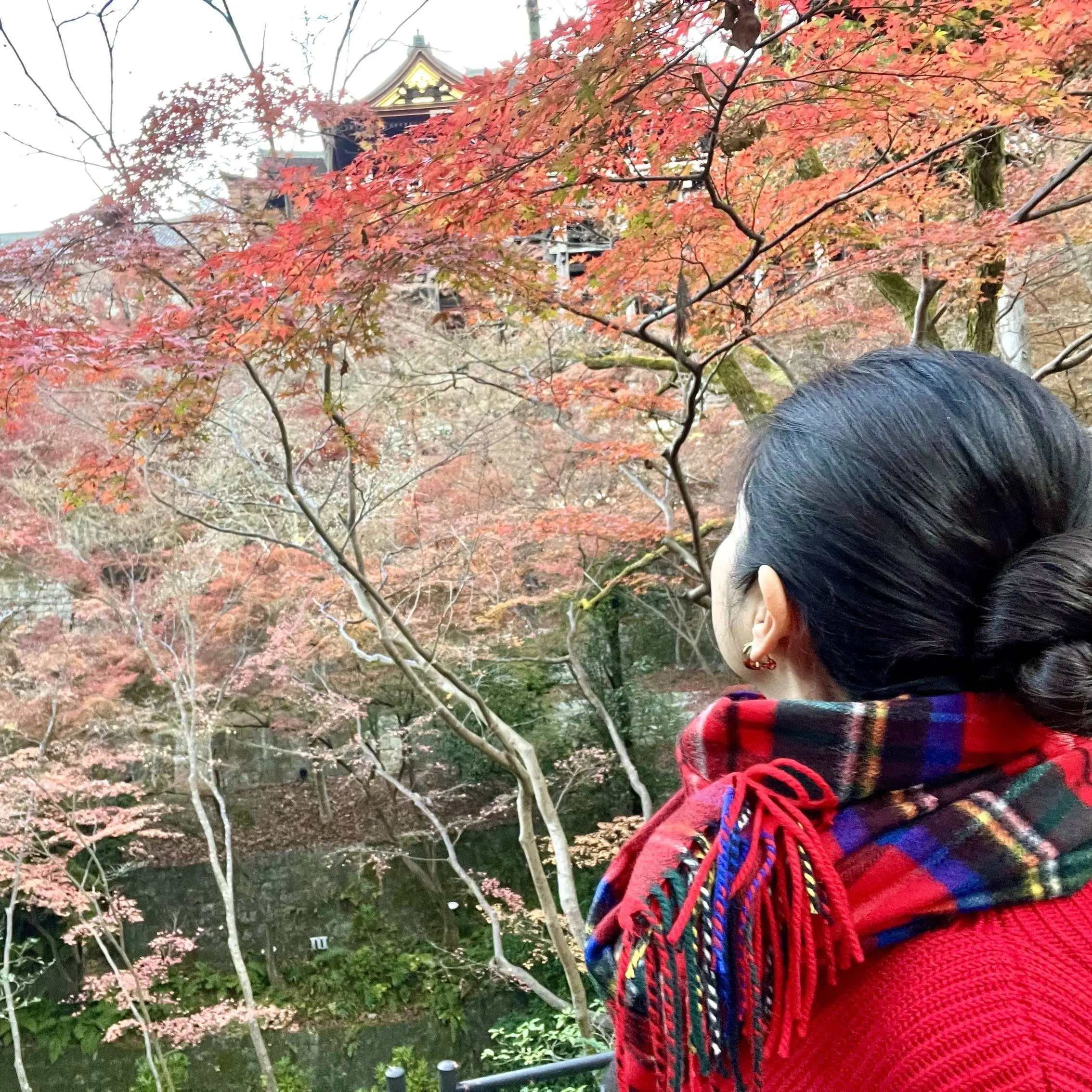秋の景色を楽しむ♡京都の紅葉②_1_12