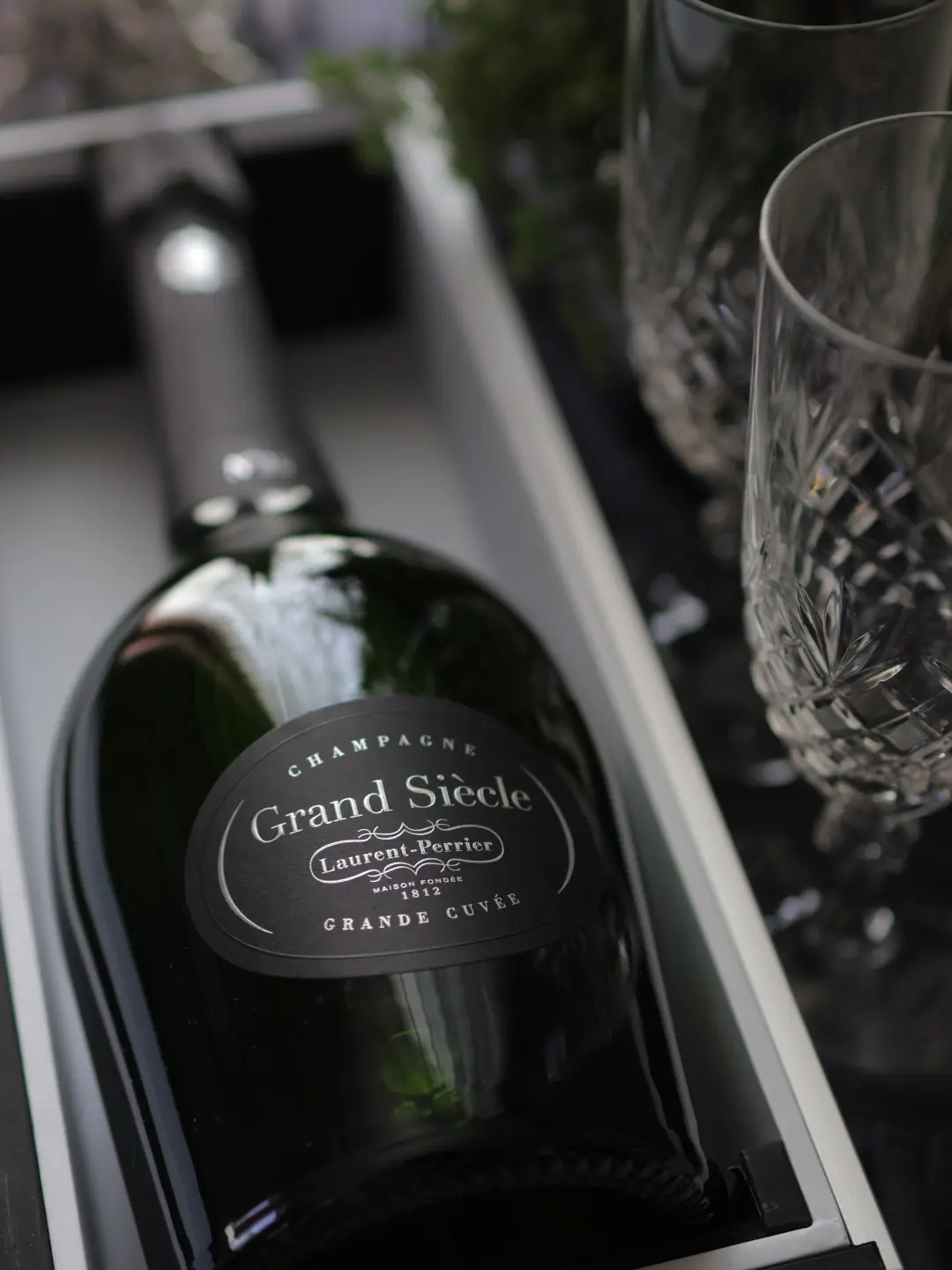 ドレスコードはスマートエレガンス✨✨_1_6