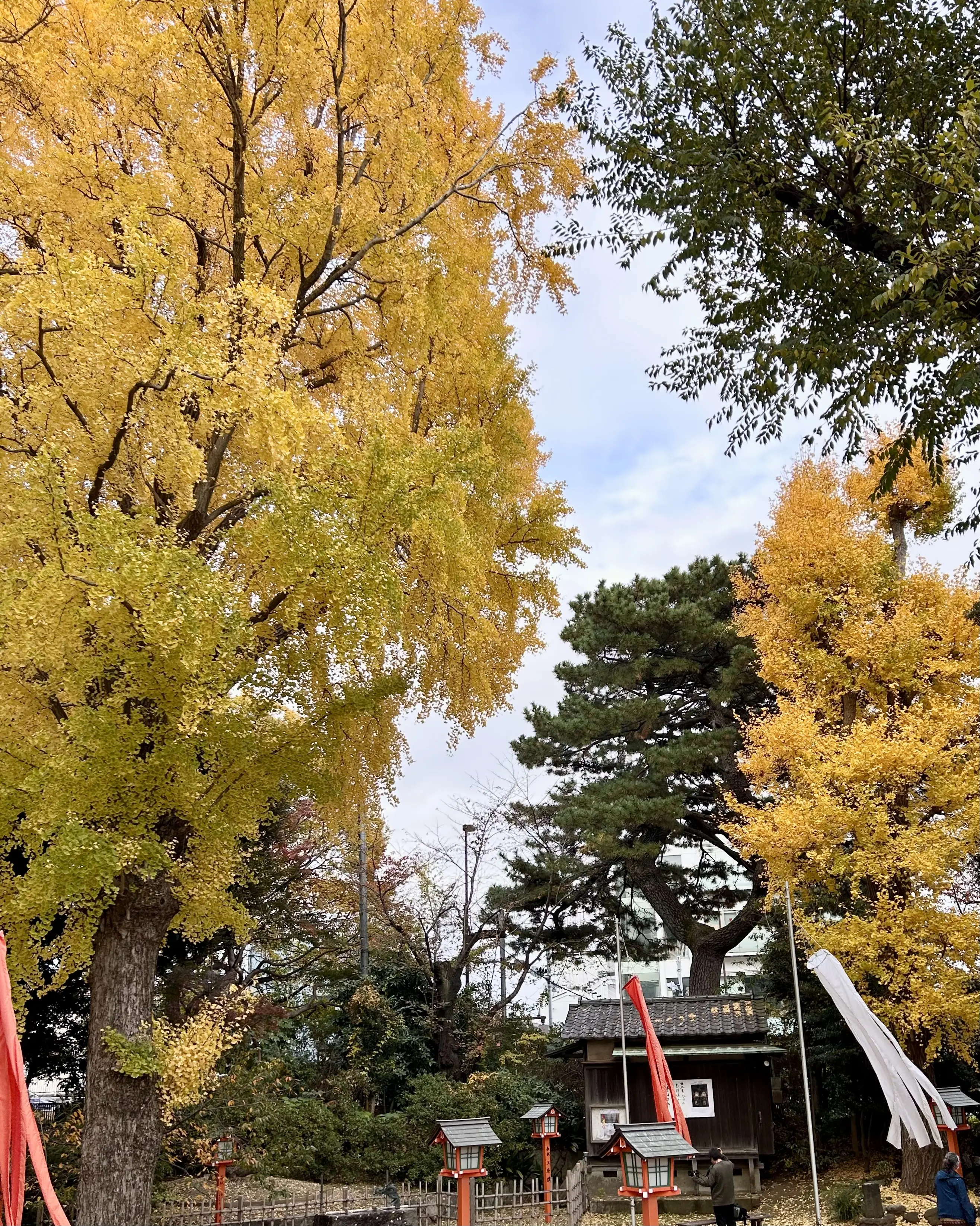 UNIQLO ✖️ KAWS コラボニットでコーデ_1_11