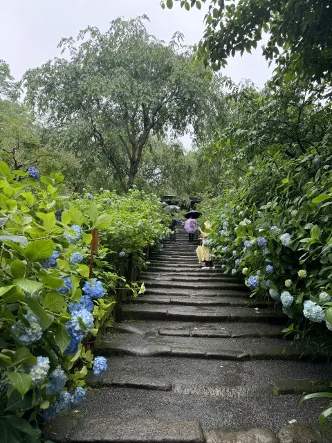 雨の日“大人の鎌倉さんぽ”☔️紫陽花と癒しの時間_1_8