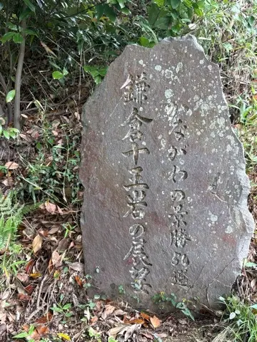 新緑眩しい鎌倉ハイキングに出掛けませんか？_1_20