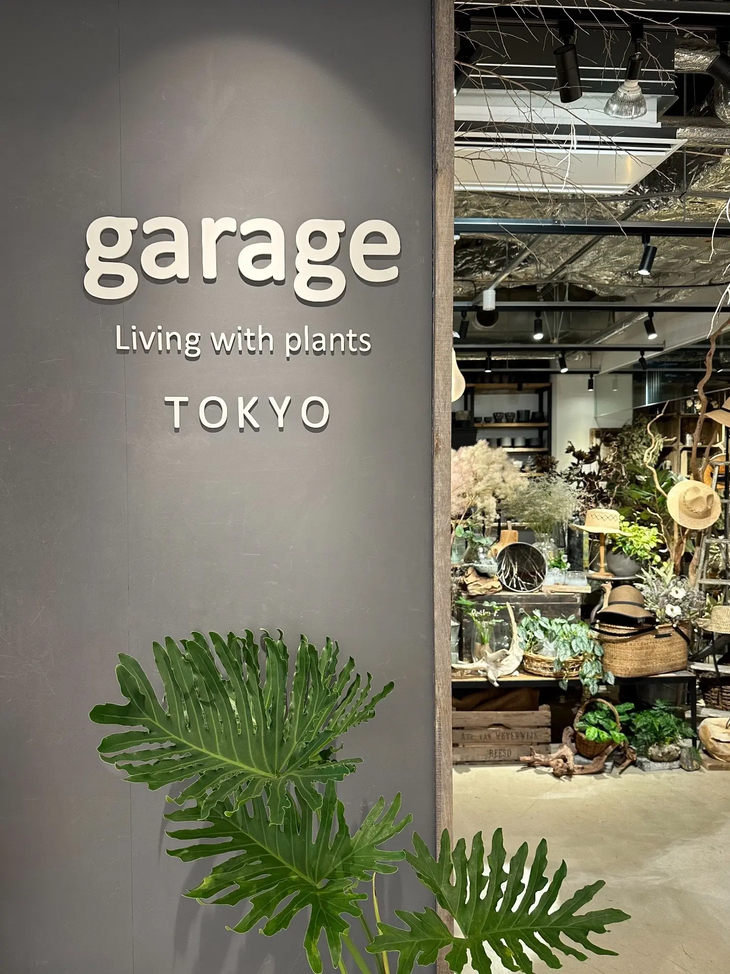 観葉植物　garage TOKYO 丸の内ビルディング