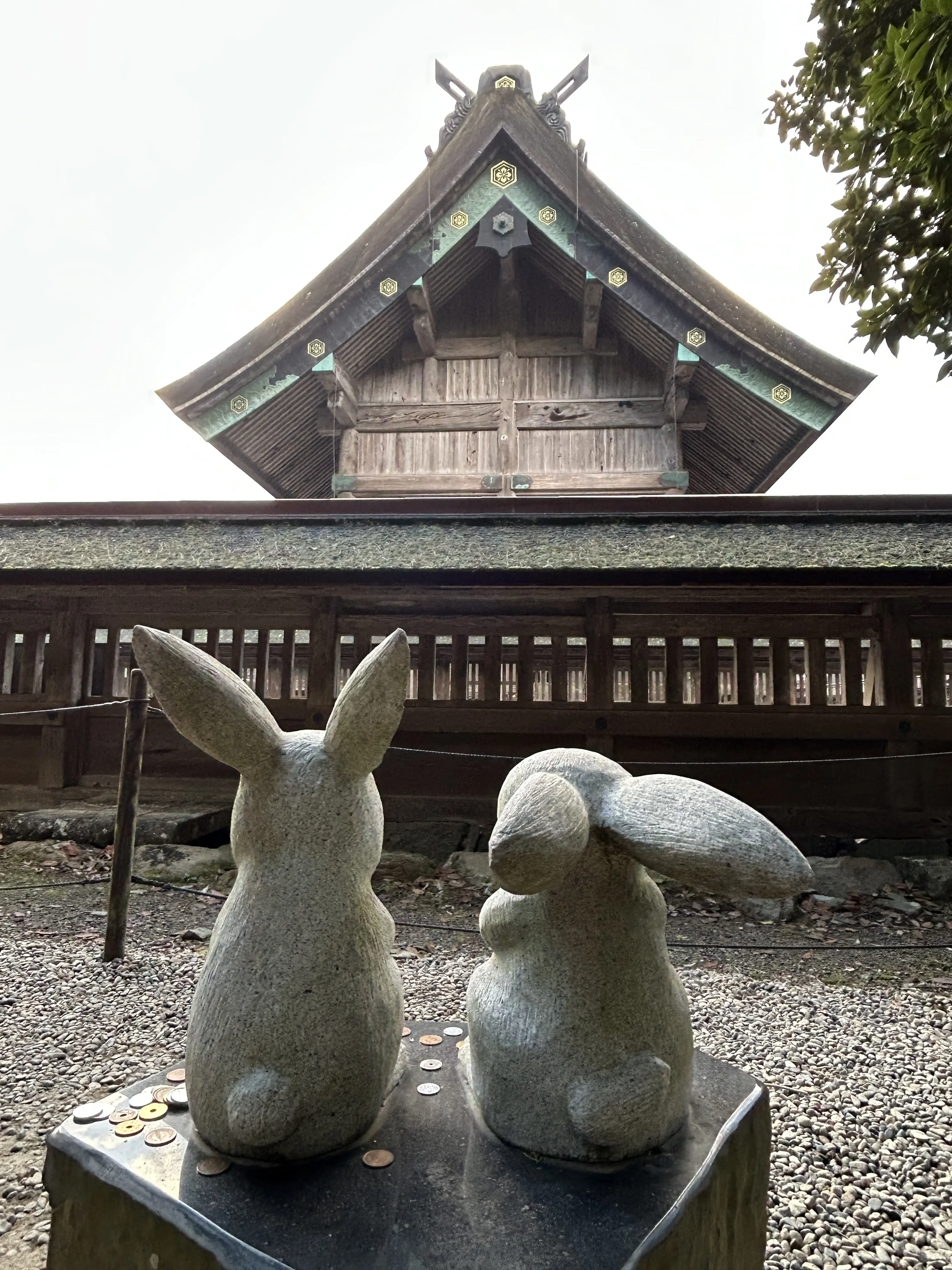 縁結び•出雲大社に神々が集う神在祭  〜幸運が皆さまに届きますように〜_1_14