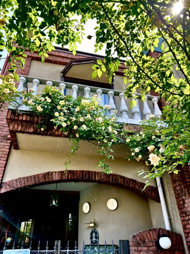 薔薇に包まれた館(岐阜市)_1_8