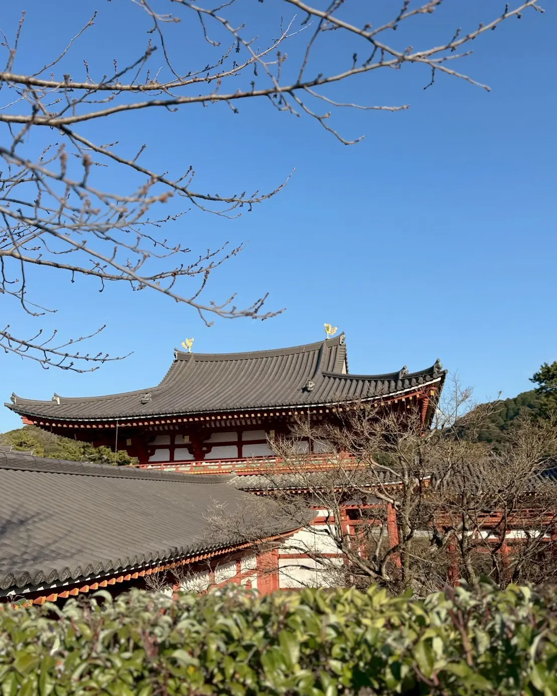 【京都】世界遺産・上賀茂神社と宇治平等院へ_1_8-2