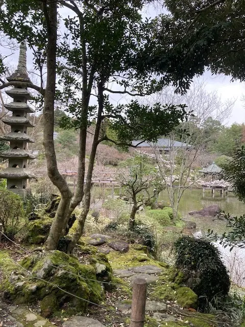 成田山公園は桜が満開。2代目松本幾次郎・松本亀吉が手がける庭園。“文殊の池”“竜樹の池”“竜智の池”。