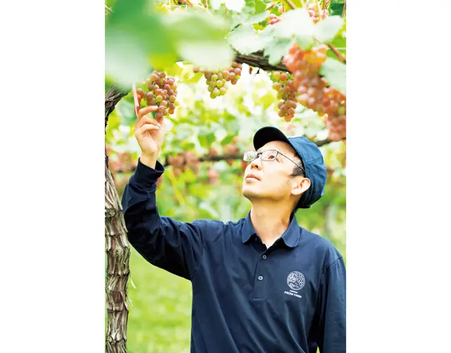 醸造チームの吉野弘道氏。「“ワインは畑から生まれる”ことをぜひ体感してください」。日本の固有種、甲州種の畑にて