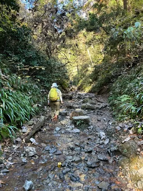 世界一の登山者数を誇る「高尾山」登山☆_1_5