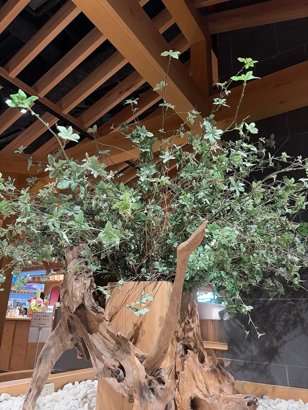 午年　神社　御朱印　神田明神　神馬　あかりちゃん　EDOKKO CAFÉ MASU MASU 枡カフェ　うまくいくお守り　あかりちゃんストラップ　午にまつわる神社　散歩　東京さんぽ　jマダム おでかけ　午年縁起物　天野屋甘酒　餅いなり