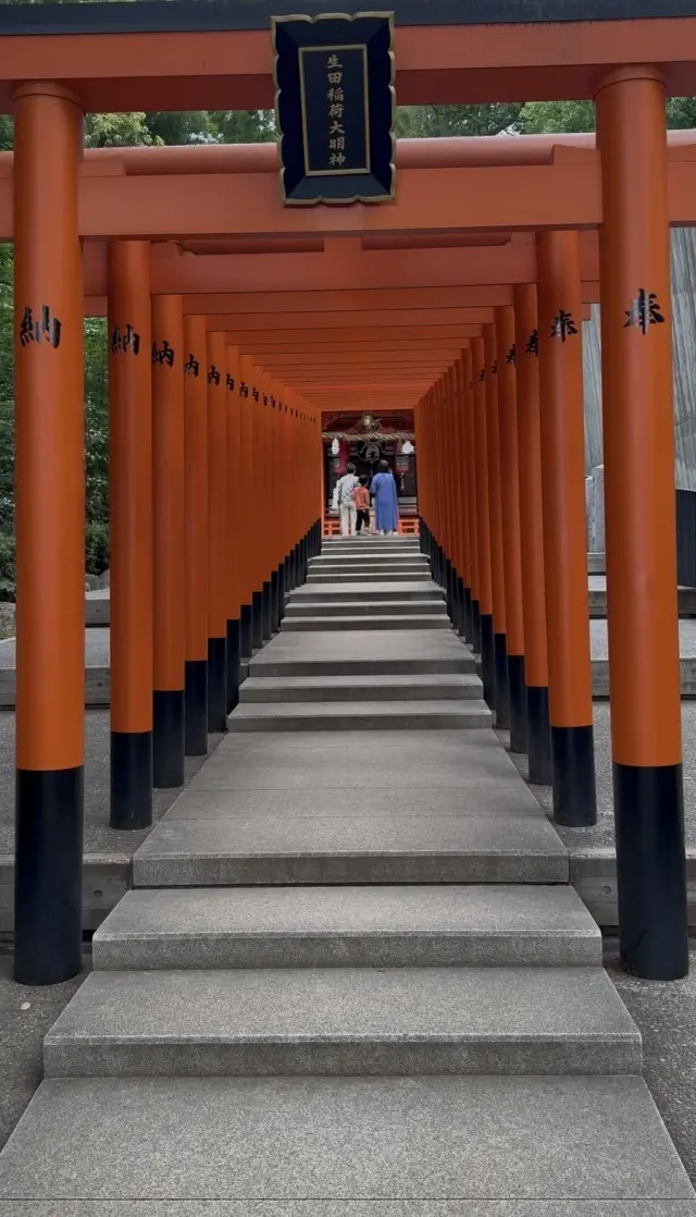 緑に染まる生田の森と赤に染まる生田神社。_1_6
