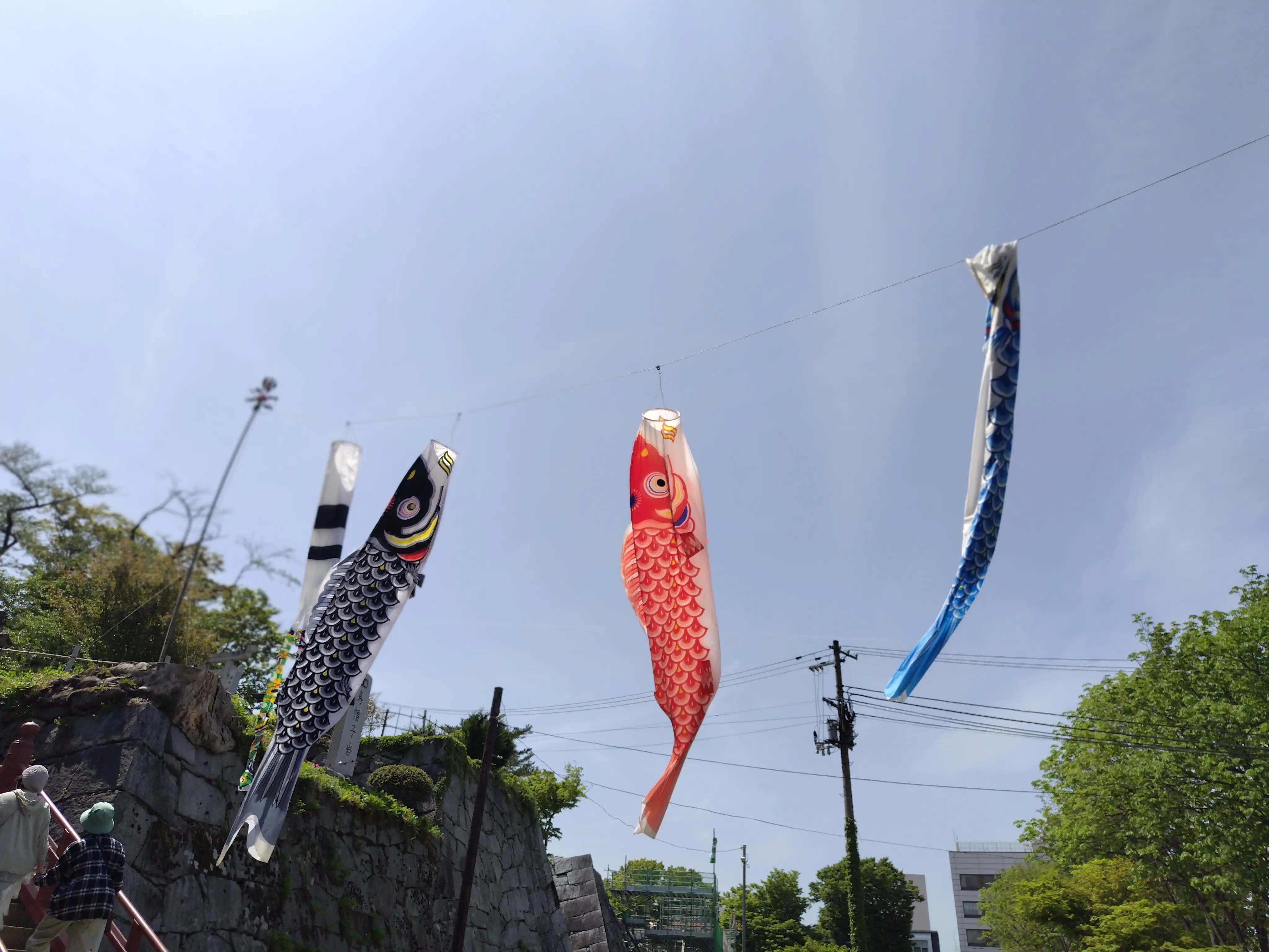 櫻山神社の鯉のぼり