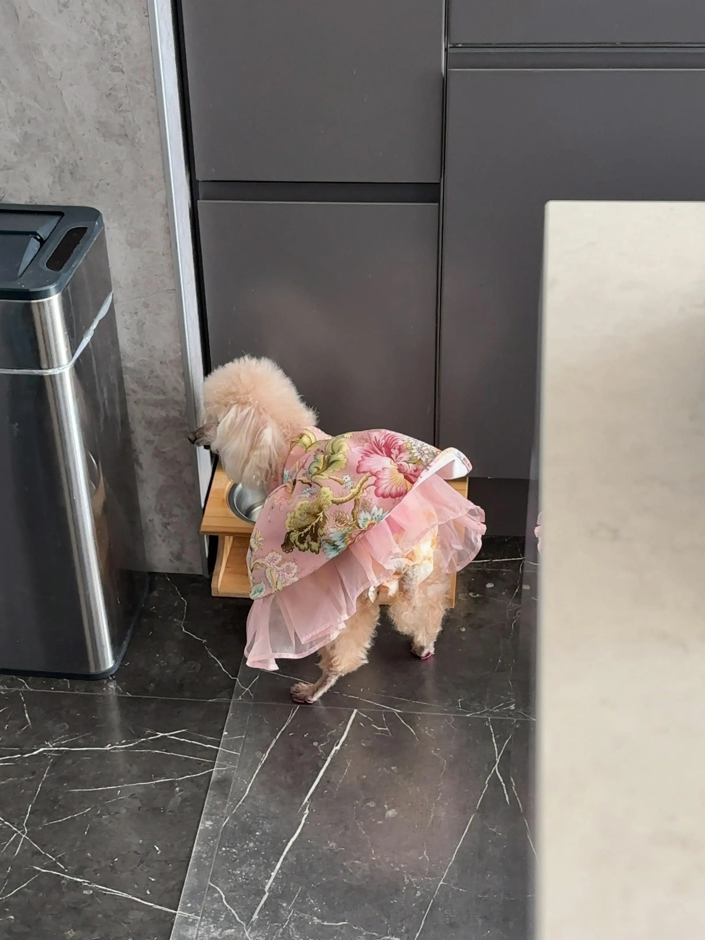 クリスマスカラーとしてZARAの赤トップス❤️を取り入れ、華やか気分で「パテ・ド・カンパーニュ」レッスンへ！_1_9-2