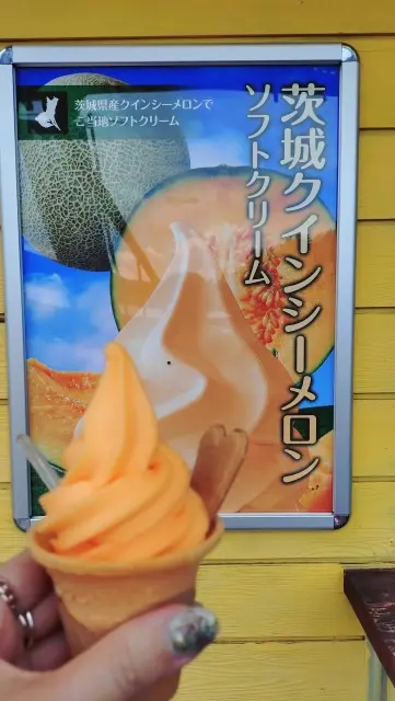 夏の茨城旅【前編】袋田の滝と秘湯の宿へ_1_7
